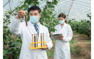 拜耳与Atara达成高达6.7亿美元合作 共同开发细胞免疫疗法