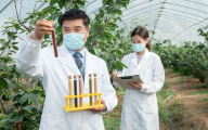 囊性纤维化巨头Vertex：三联疗法上市一年销售额近40亿美元！